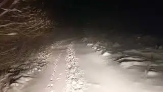 По заснеженной лесной дорожке.