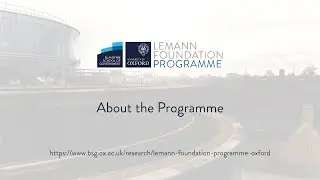 Lemann Foundation Programme - About the Programme