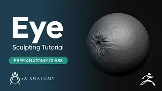 How To Hand Sculpt A Realistic Eyeball 3D Print Model Without Alphas ZBrush Core Update (2021)