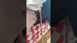 Барсук