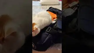 #успех