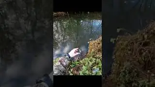 #shortvideo #рыбалка #video #щука #спиннинг #татарстан