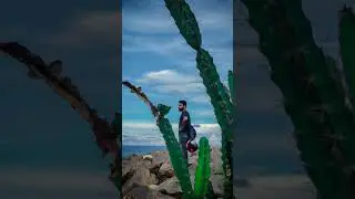 Best color grading 