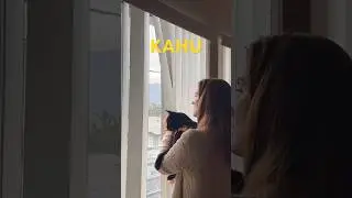 KAHU … Protector and Guardian 🐈‍⬛ #kahu #cat #soulcat