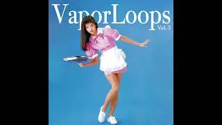 VaporLoops Vol.3
