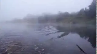 VID 20150709 030535