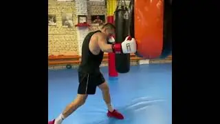 Боксерские мешки, перчатки Prosrect Boxing
