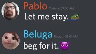 If Beluga Owns A Discord Server...