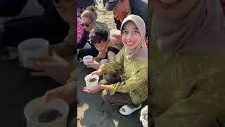 Konservasi Pelepasan Tukik atau Anak Penyu dan Larungan Sesaji di Pantai Sodong Cilacap