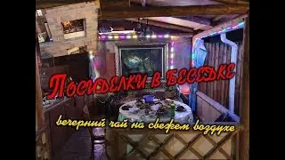 ОДИН ВЕЧЕР С TATARINOM ИЗ ЕГО ЖИЗНИ 2020