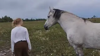 Преодоление сомнений. Лиза и Фаир