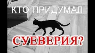 Что делать если просыпалась соль и черный кот перебежал дорогу?