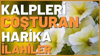 İLAHİLER | ALLAHIN HABİBİ NEBİ DERTLERİN TABİBİBİ NEBİ SALAT SELAM OLSUN ONA
