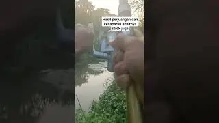 strek anak beyawak #disungai #fhising #mancing #mancingmania