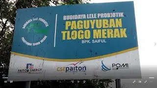 AGRIBISNIS KELAUTAN DAN PERIKANAN II BUDIDAYA IKAN LELE PROBIOTIK KAB. PROBOLINGGO