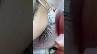 Pro Tips for Isolating Lashes – See It More Clearly!  #lashtrainer