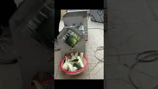Melon wedging machine melon quarter cutter