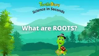 What Are Roots? Plant Science *Science in Seconds* TurtleDiary.com
