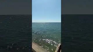 Анапа. Высокий берег. Чёрное море. Пляж. Краснодарский край. 23 августа 2024 г.