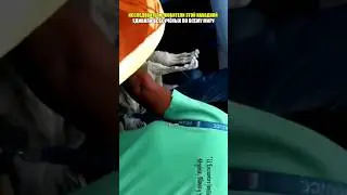Любители этой находкой удивили всех учёных по всему миру