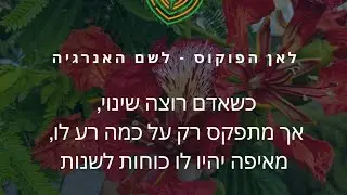 חוק בסיס של היקום