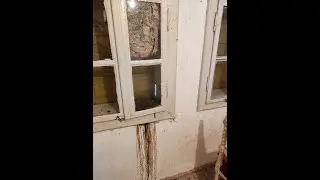 Huge Hornet Nest Removal