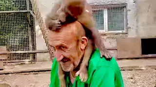 Люська с Владом делает что хочет, а Степашку от Дениса не возможно забрать)