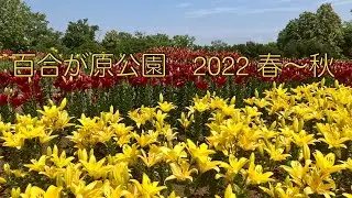 百合が原公園【2022 春〜秋】