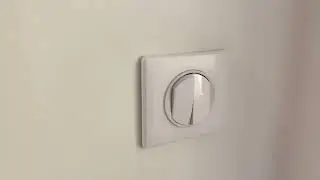 15. Mirror light