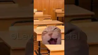 Отмазка если ты опоздал👌#хочуврек#котики#футажи#shorts Автор звука:@kikkadim