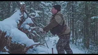 Harvesting a nocturnal sable. A sable during the day. Life in a hut.