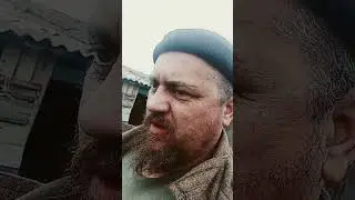 Выставили пчёл