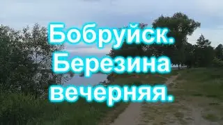 Бобруйск  Березина вечерняя