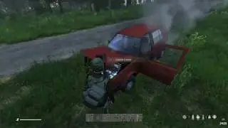 Road Kill