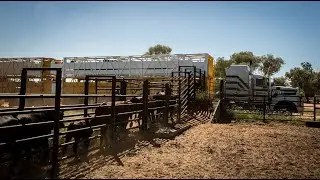 Angus Emmott - Noonbah Station, Longreach