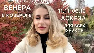 ВЕНЕРА в знаке КОЗЕРОГ ♑️ 11.11-06.12 - АСКЕЗА ДЛЯ ВСЕХ-  IRYNA SUN