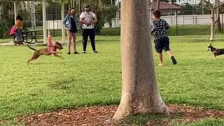 Maggie’s first trip to the dog park