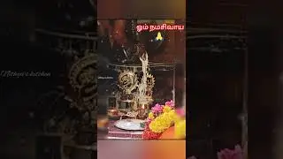 ஓம் நமசிவாய 🙏🙏🙏 #திருச்சிற்றம்பலம் #தென்னாடுடைய சிவனே போற்றி #எந்நாட்டவர்க்கும் இறைவா போற்றி #shivam