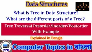 Tree Terminology