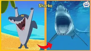 Zig & Sharko Characters In Real Life