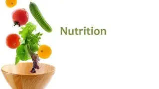 Facts About Nutrition - Nutritional Facts That We All Must Know - Interesting And Amazing Facts