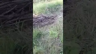 Очистка заброшенного участка. Июль 2023 год