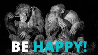 Be Happy! | Best Motivational Quotes