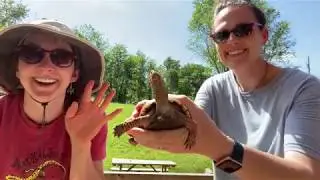 Interview with a Box Turtle