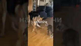 27 октября 2021 г.