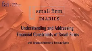 The Small Firm Diaries: Understanding and Addressing Financial Constraints of Small Firms