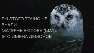 Матерные слова польза или вред здоровью