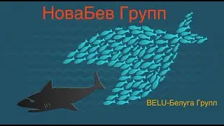 Илья Винокуров о Белуге. (НоваБев, Belu)