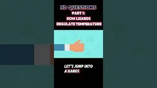 PT 1 : Lizard Adaptations: How They Control Temperature | 3-D Questions from Steamspirations