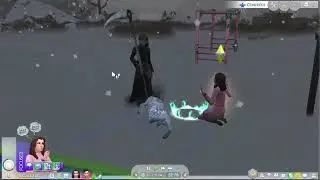 The Sims 4 Death by Freezing